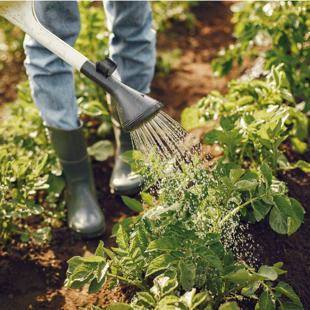 Mantenimiento premium JRveGardens